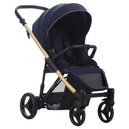 Bebetto Rainbow 02 GOLD Frame Stroller